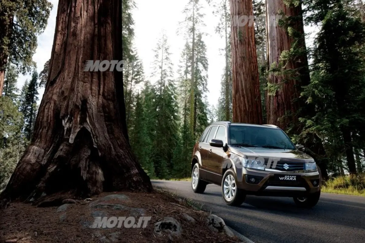 Suzuki Grand Vitara Evolution