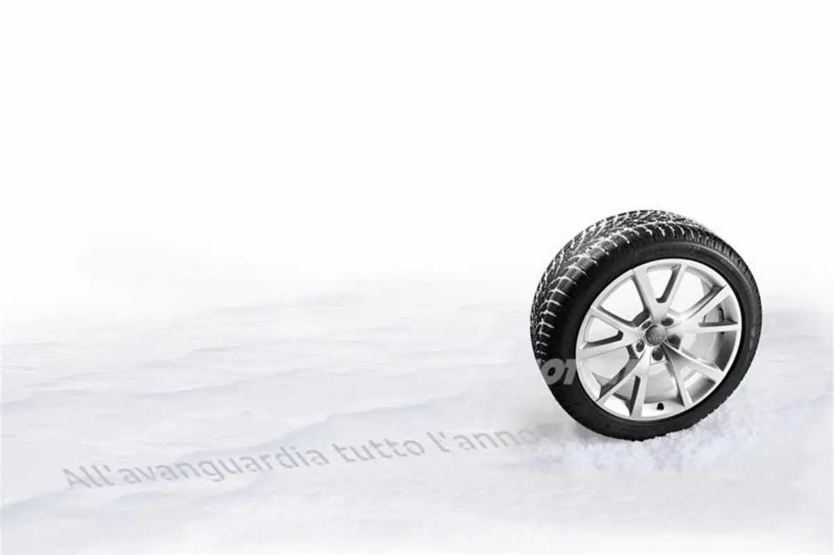 Audi Winter Check (2)