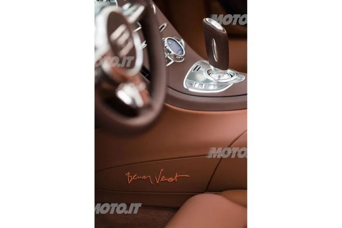 Bugatti Veyron Grand Sport Venet (17)