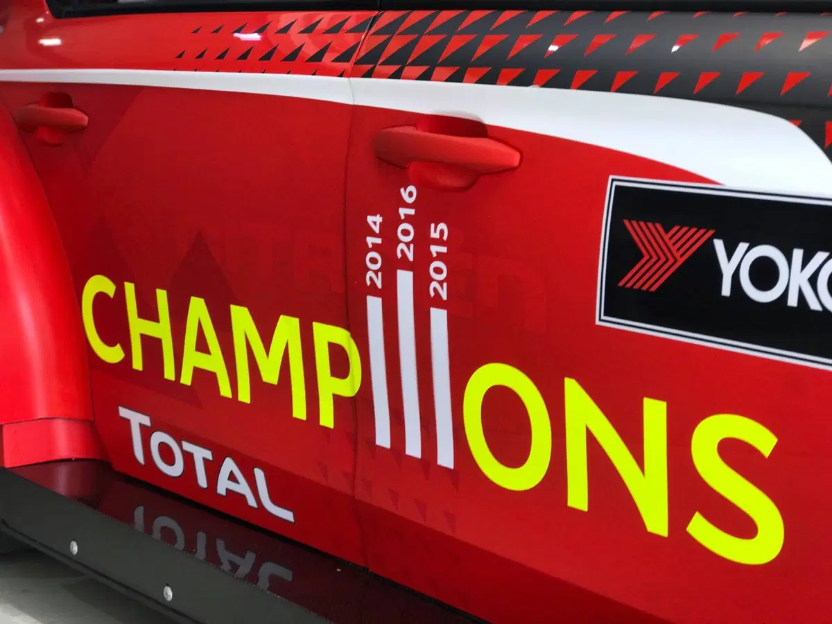 WTCC 2016, qualifiche Qatar: (19)