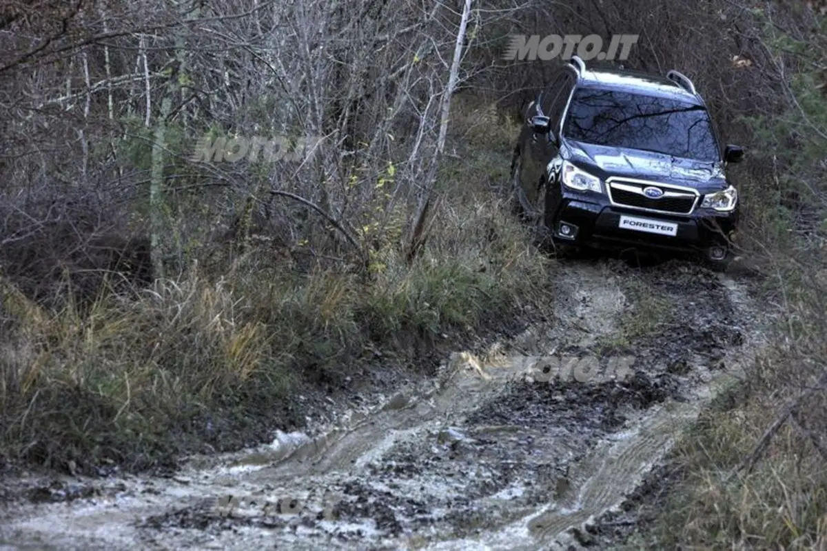 Nuova Subaru Forester (10)