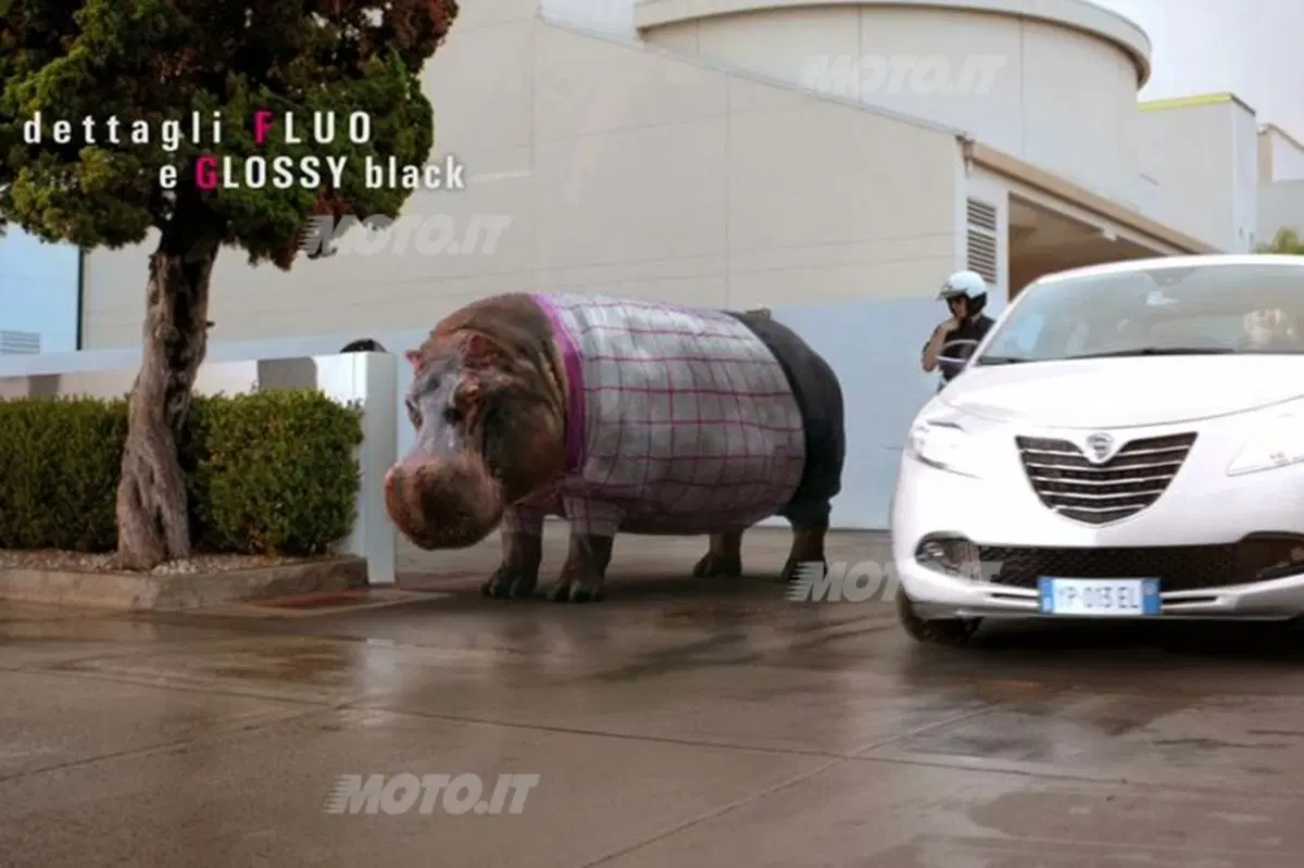 Lancia Ypsilon Elefantino: nel cuore della "Natural Chic" (31)