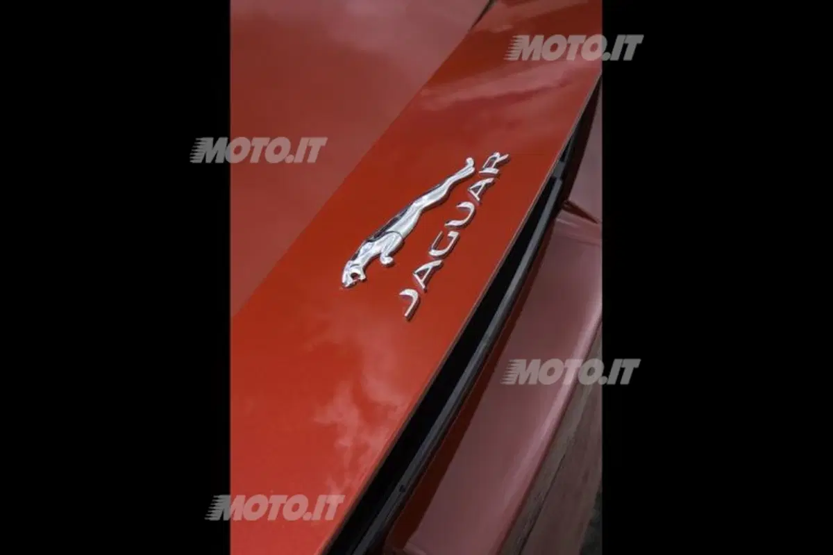 Jaguar F-Type (33)