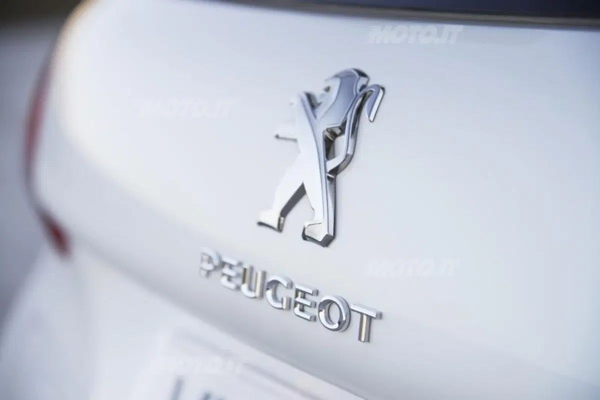 Peugeot 2008 (50)