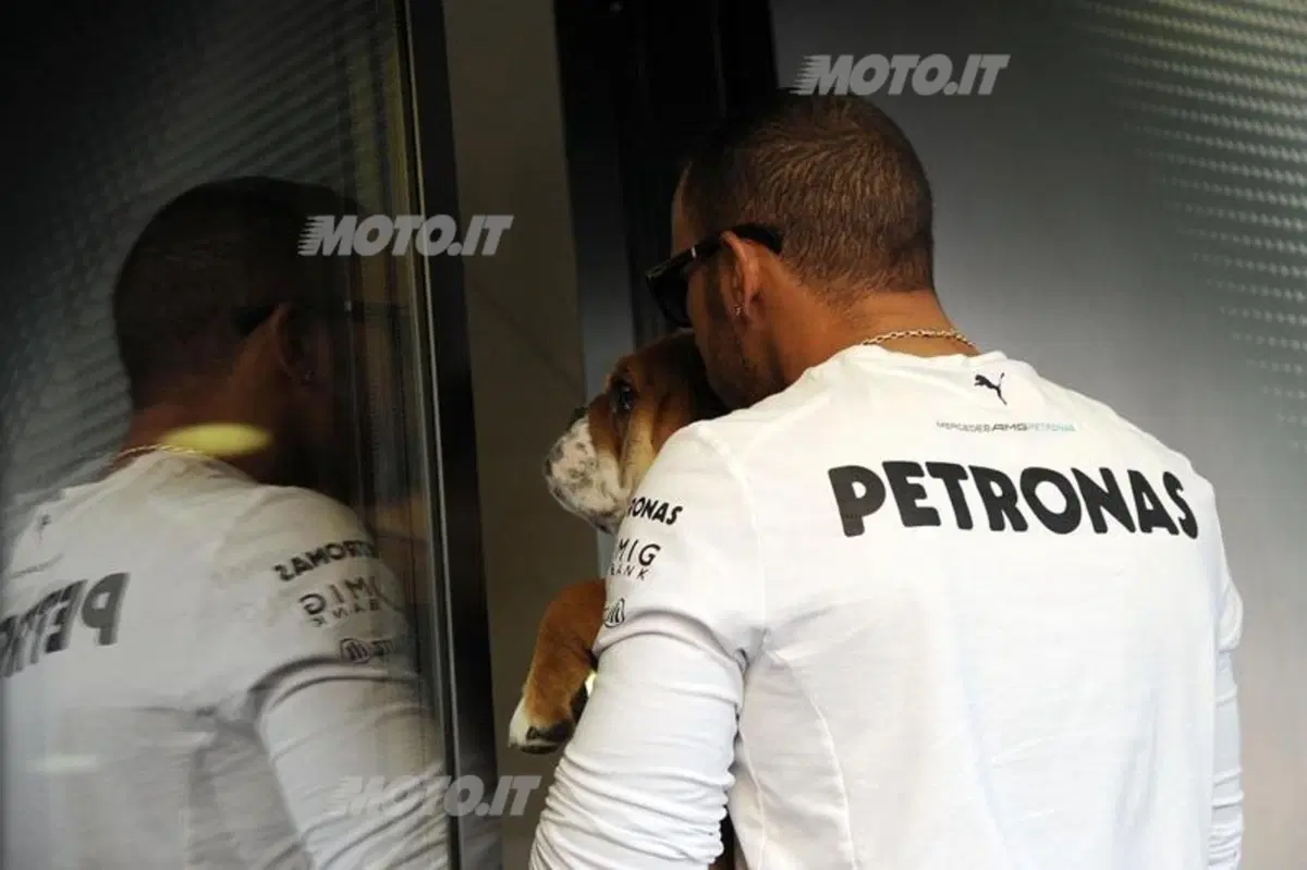 F1 GP Spagna: Vettel comanda la seconda sessione di libere (5)