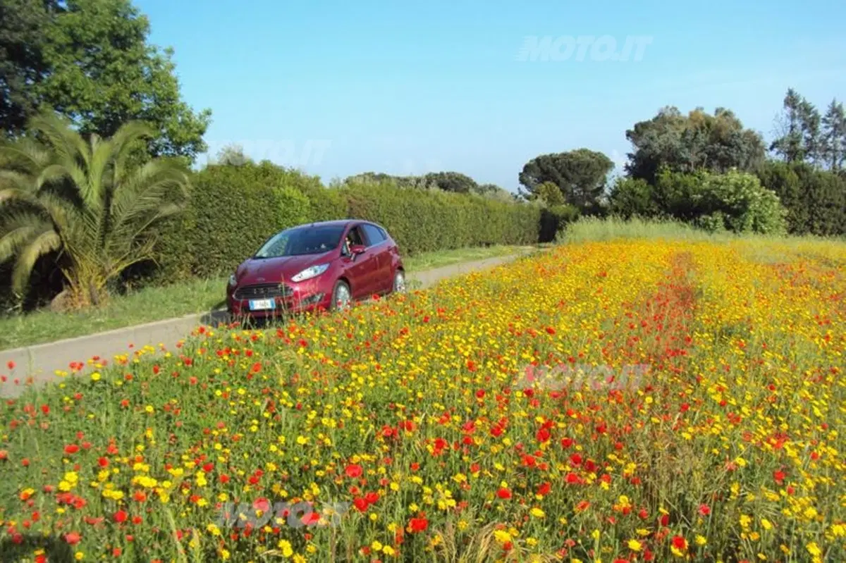 Ford Fiesta Econetic (4)