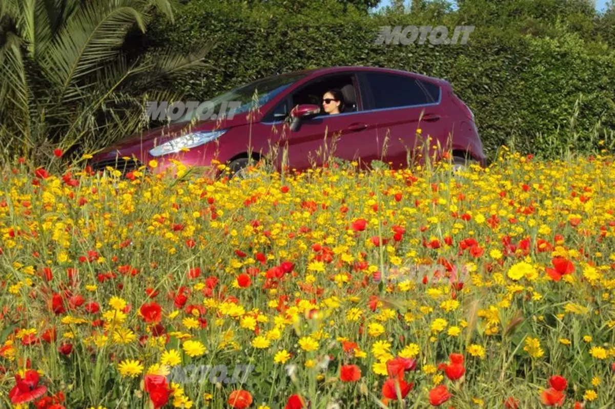 Ford Fiesta Econetic (6)