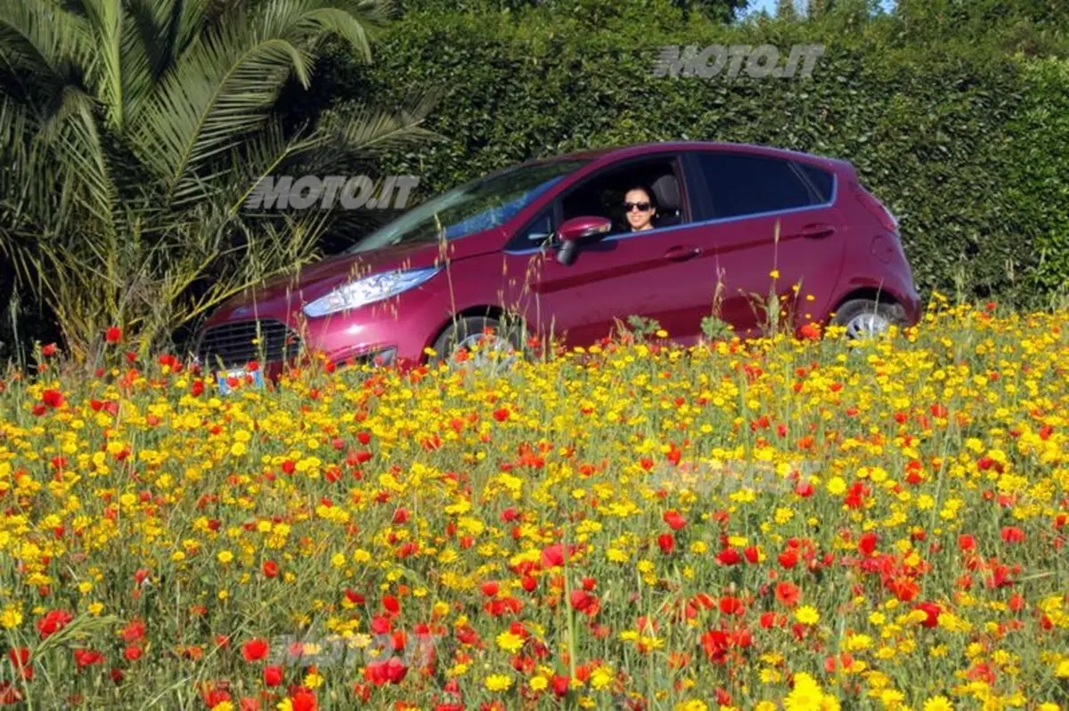 Ford Fiesta Econetic (9)