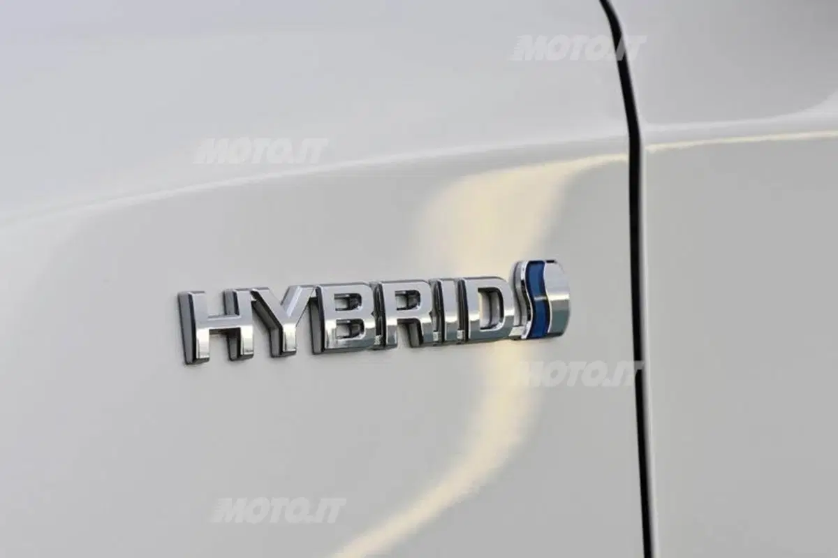 Gargano: «Toyota Auris Touring Sports? Spazio, ecologia e piacere di guida» (16)