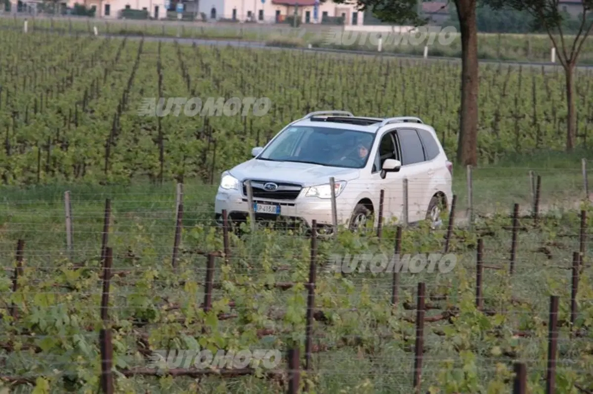 Subaru Forester 2.0i-L Exclusive (12)