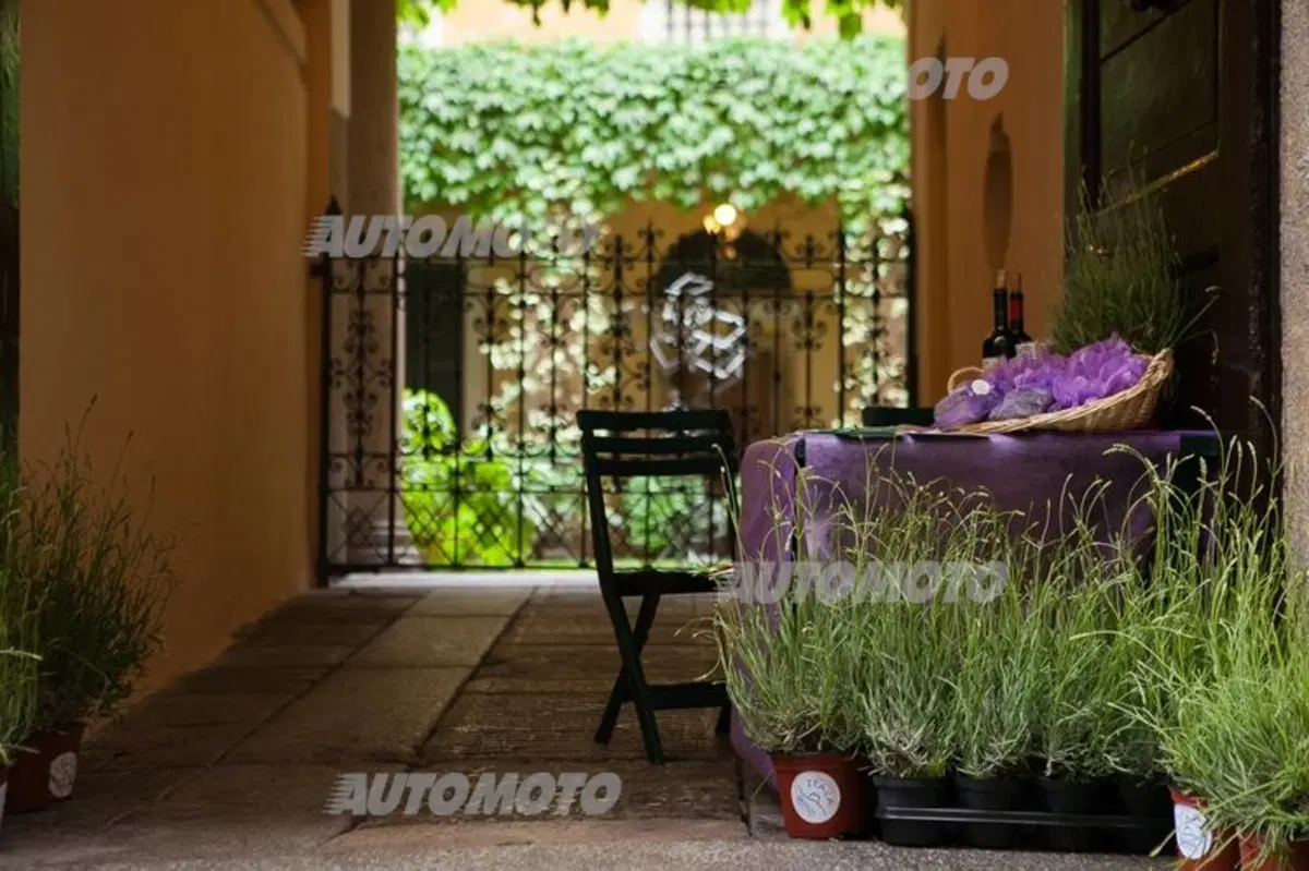 Fleur en Fleur Autunno 2013: tra enologia e auto d'epoca (2)