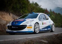 Peugeot vince il Campionato Costruttori nel CIR 2013