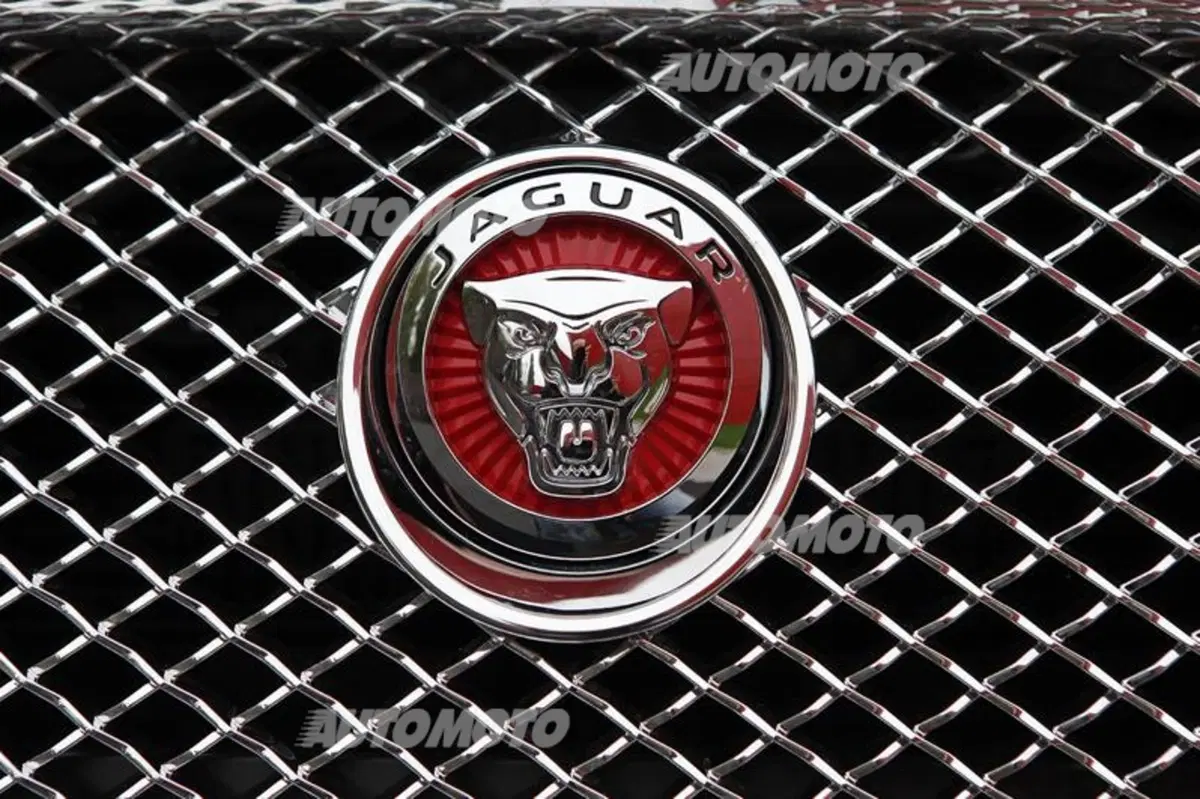Jaguar XF 2.2 163 CV (50)