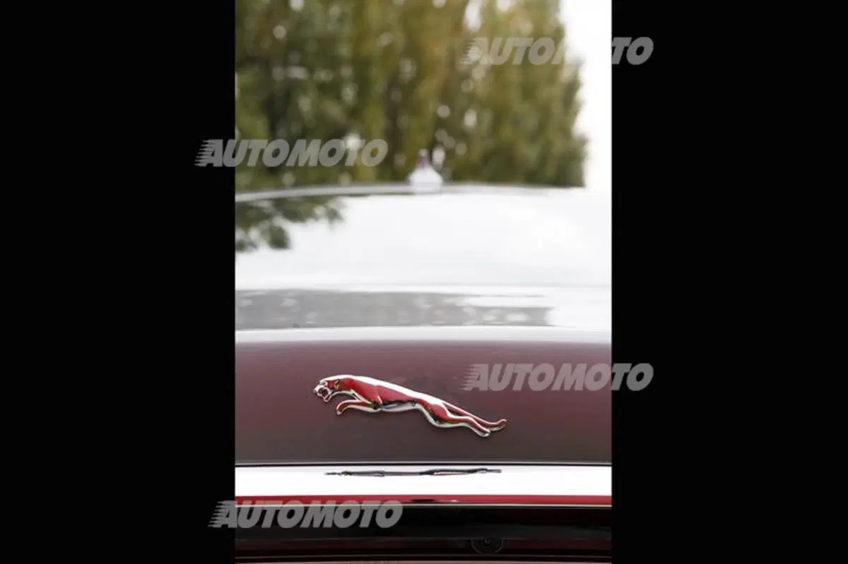 Jaguar XF 2.2 163 CV (55)