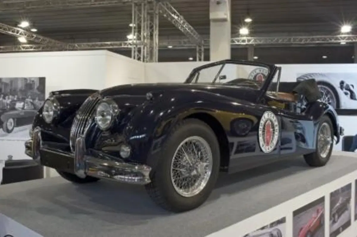 Auto e Moto d'Epoca 2013: tutto quello che c'è da vedere a Padova (8)