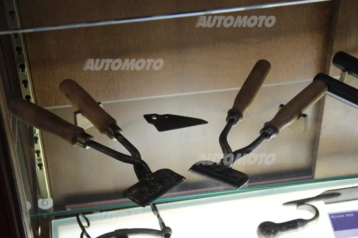Peugeot: una notte al museo. Di Sochaux/Prima parte (5)