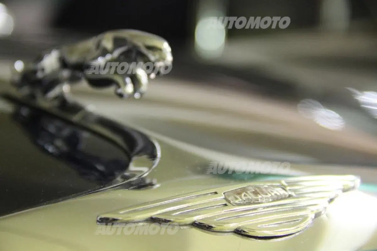 RuhmVollSteuer: l'albergo a 5 stelle per auto (e moto) d'epoca (46)