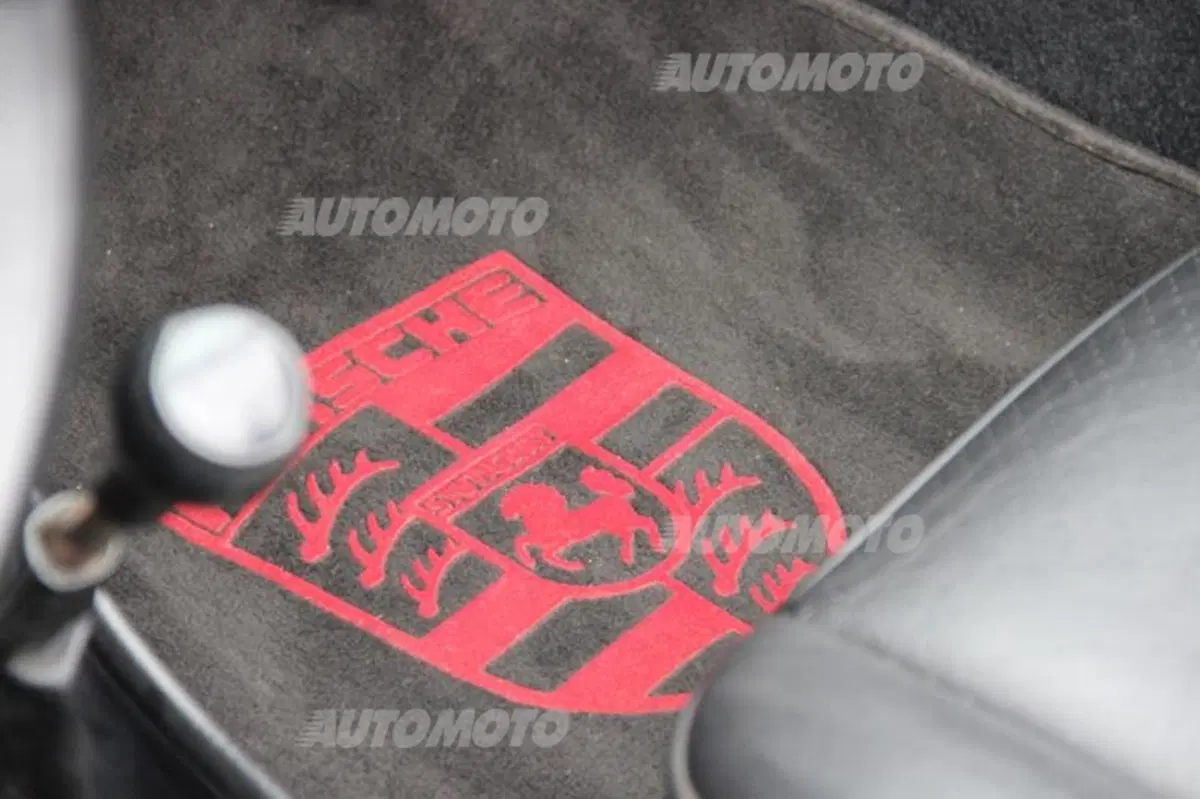 Porsche 911: rifarsi gli occhi al raduno con 50 anni di storia (102)