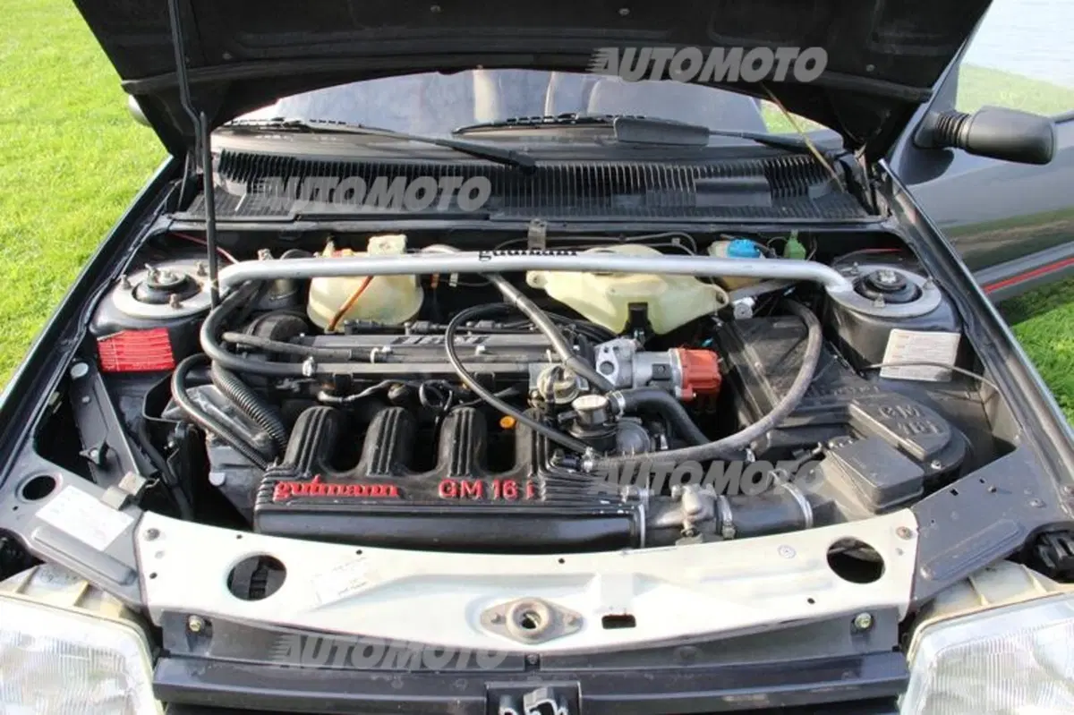 Peugeot 205 GTI Gutmann (40)