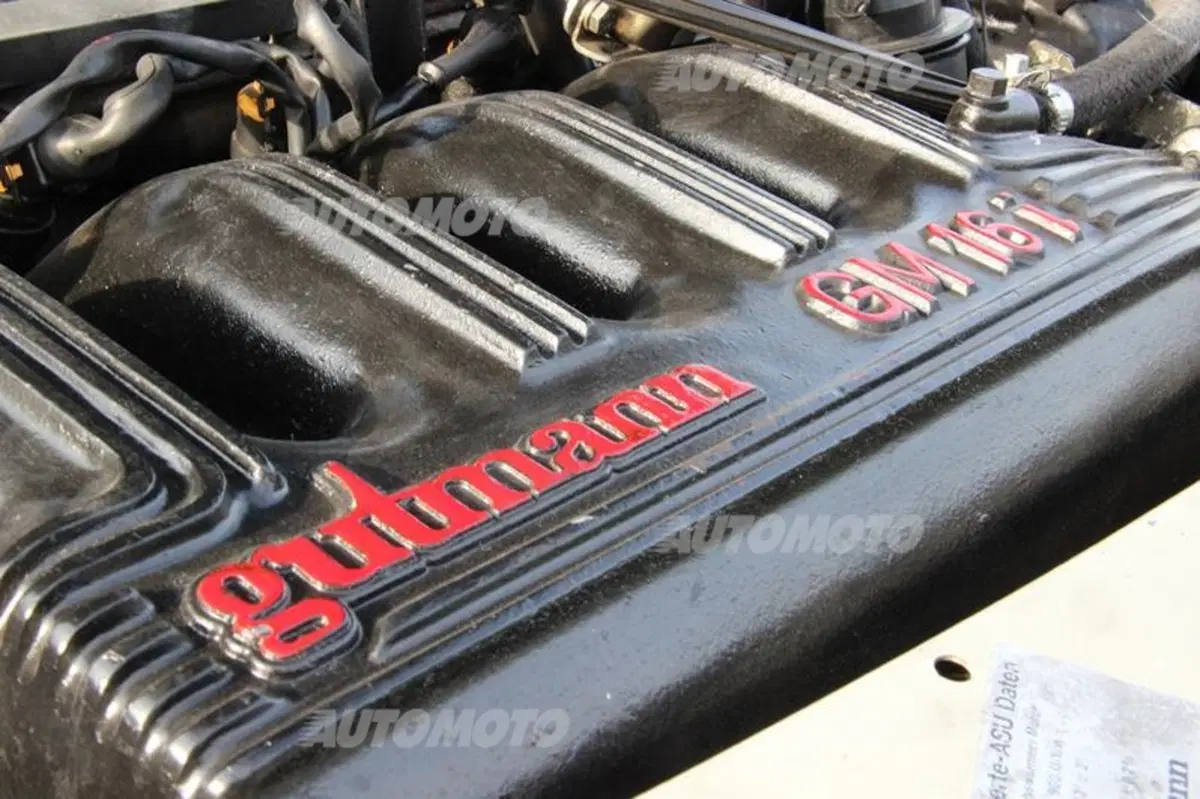 Peugeot 205 GTI Gutmann (41)