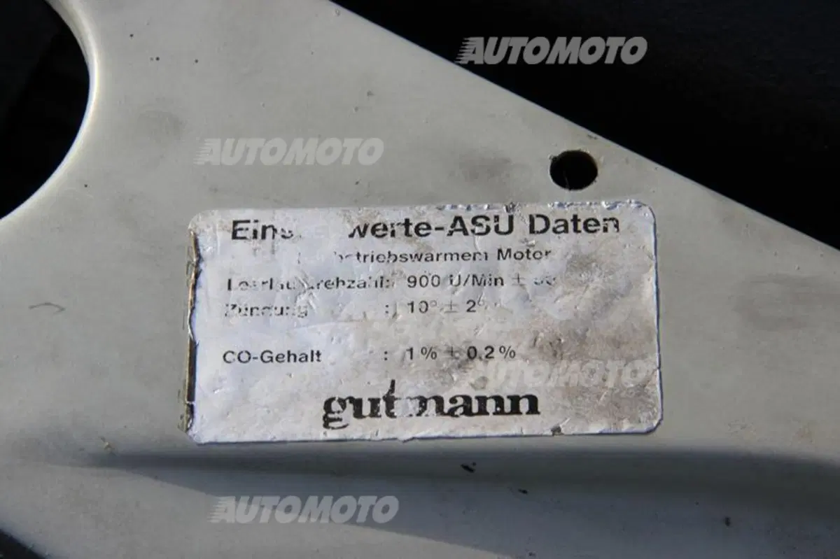 Peugeot 205 GTI Gutmann (45)