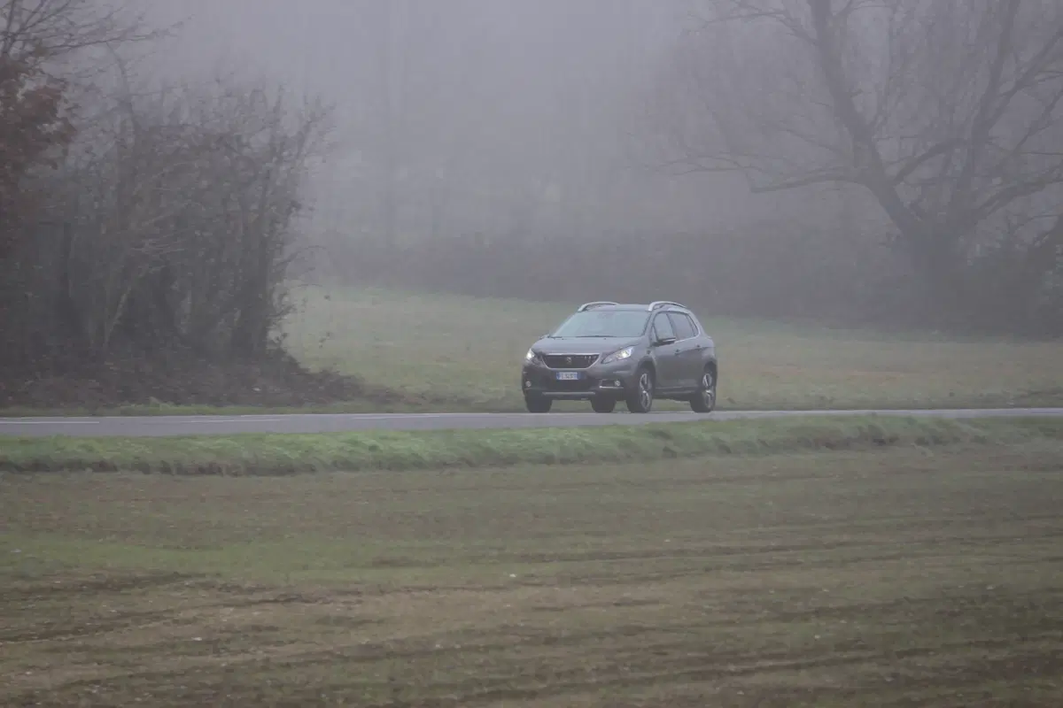 Peugeot 2008 | Test drive #AMboxing