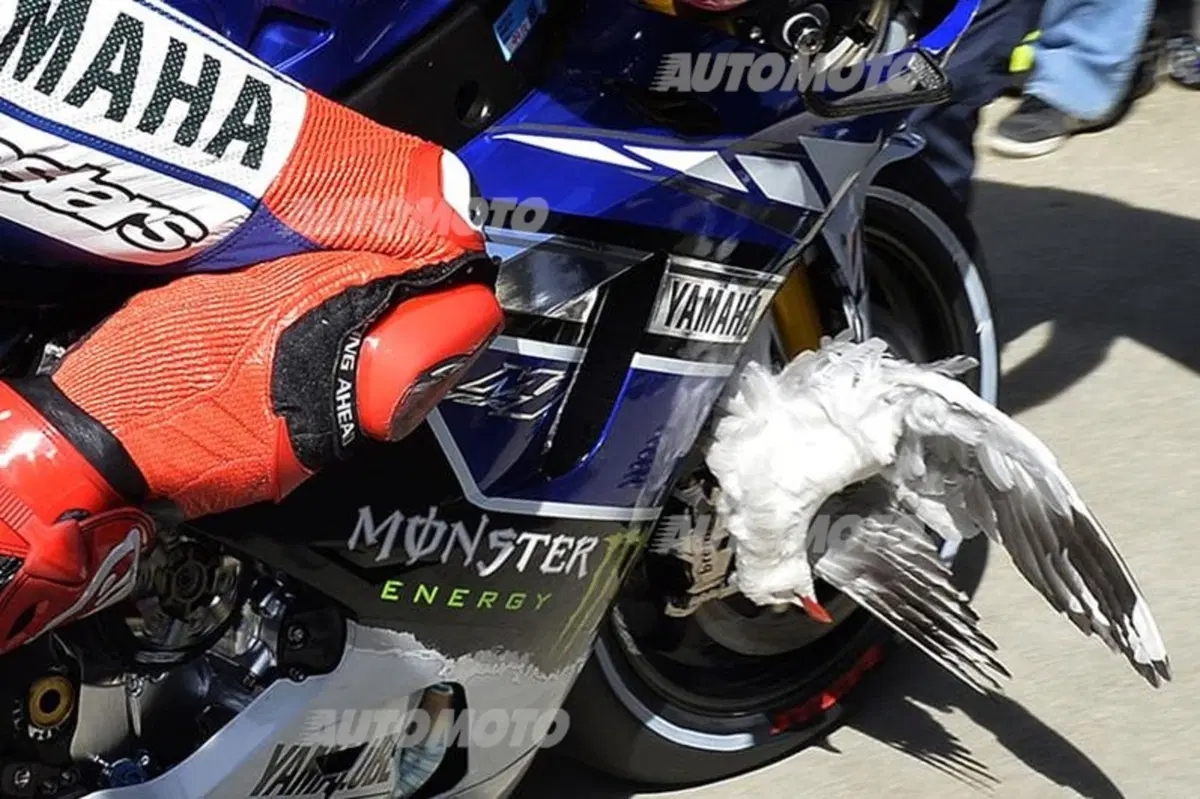 iLike@MotoGP 2013 (9)