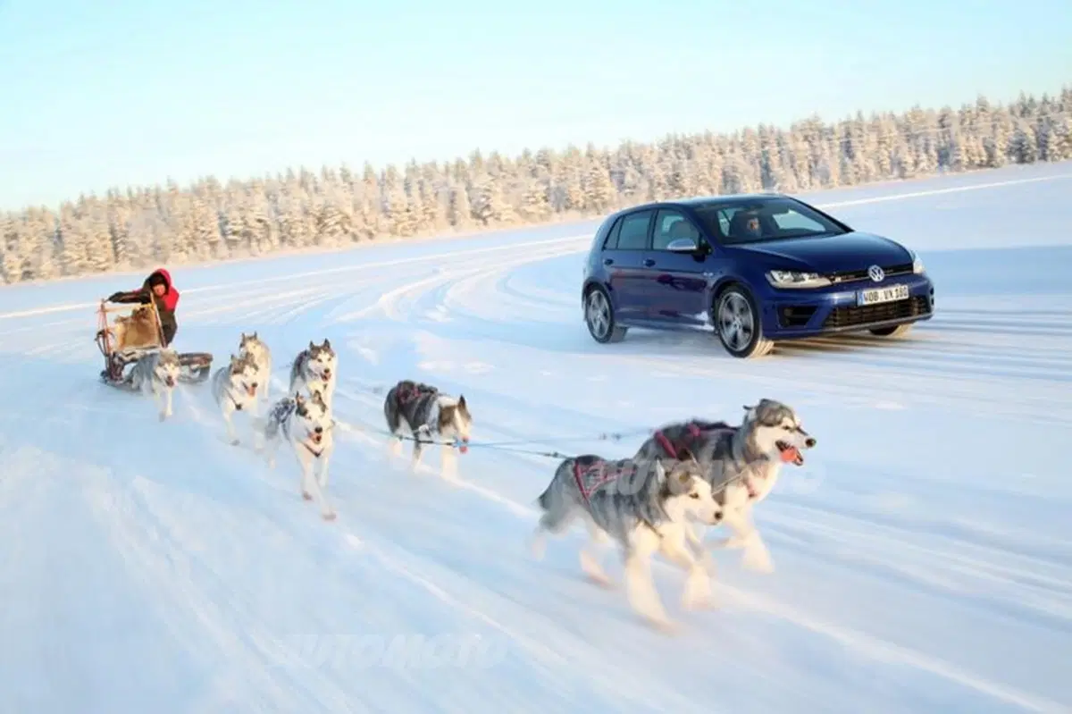 Nuova Volkswagen Golf R (22)