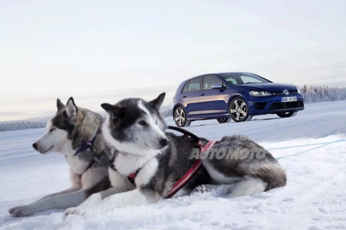 Nuova Volkswagen Golf R (28)