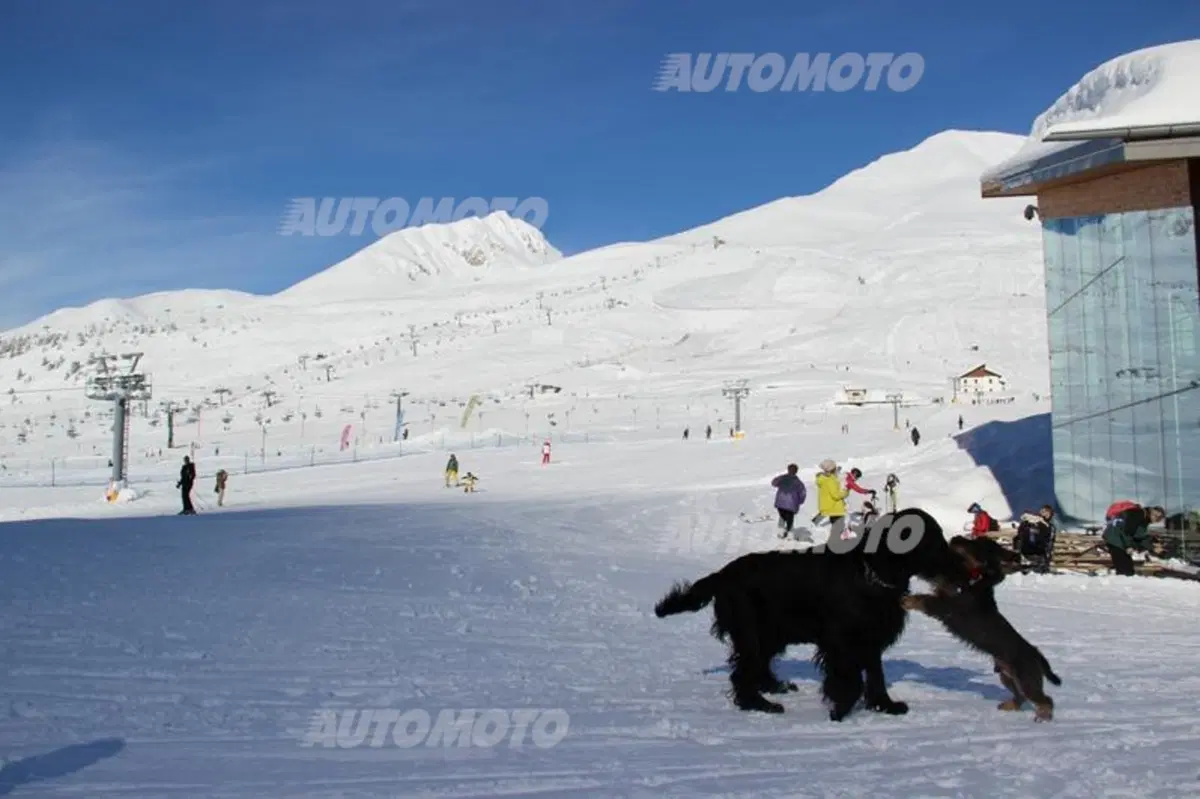 Porsche Sci Club 2013/2014: la terza tappa a Ponte di Legno (6)