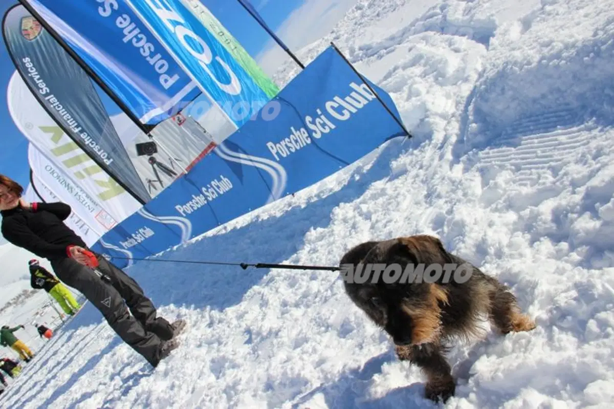 Porsche Sci Club 2013/2014: la terza tappa a Ponte di Legno (26)