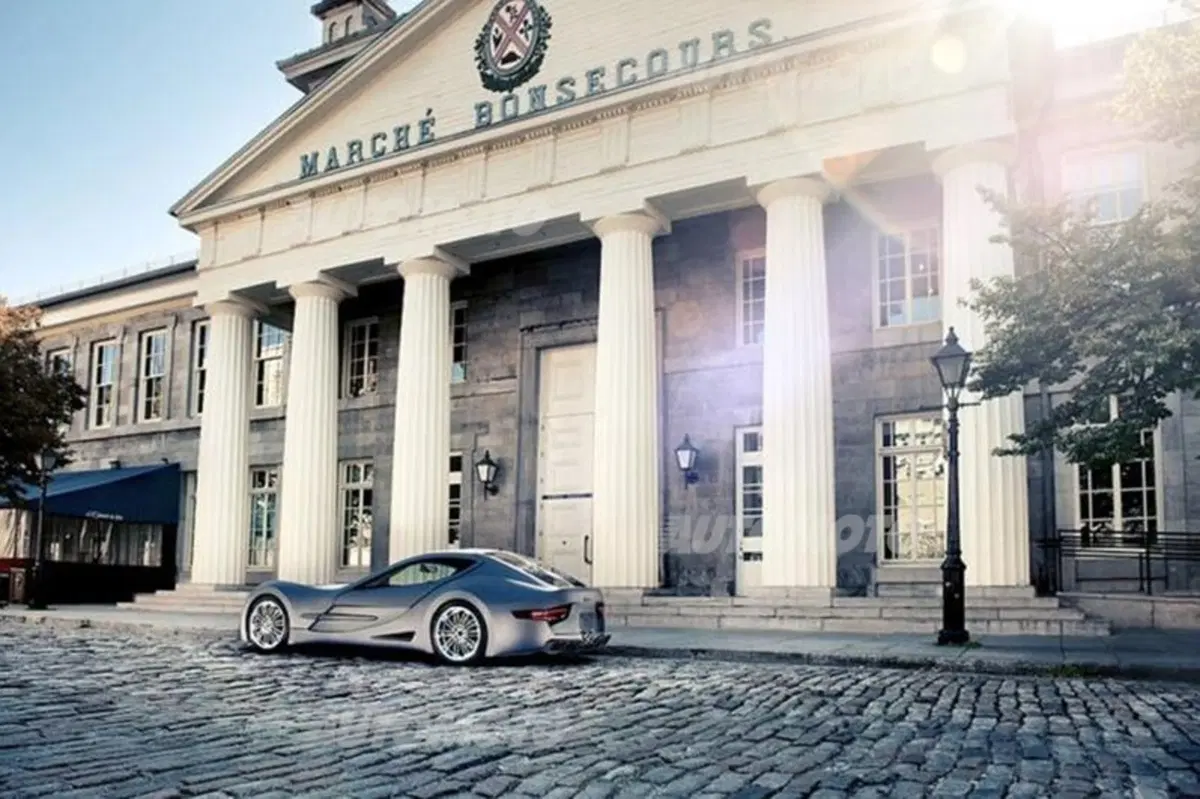Felino CB7 (25)