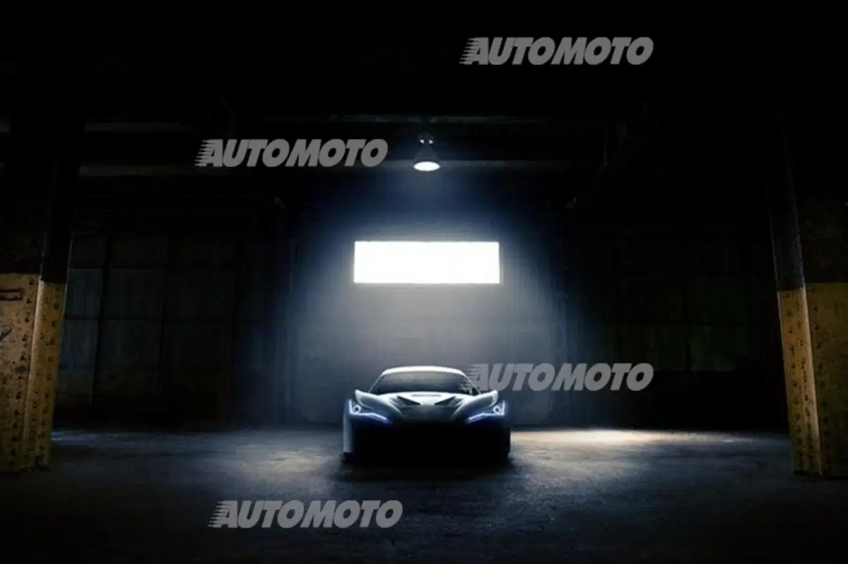 Felino CB7 (28)