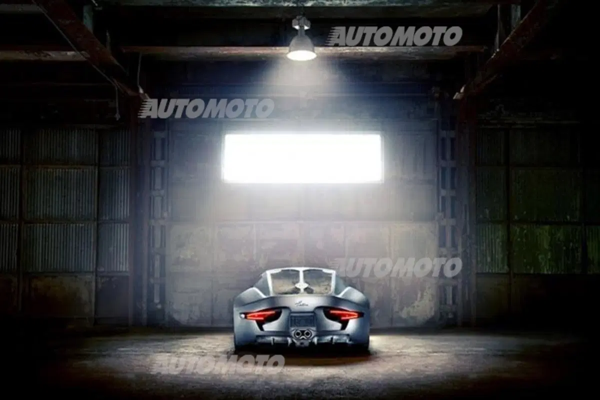 Felino CB7 (30)