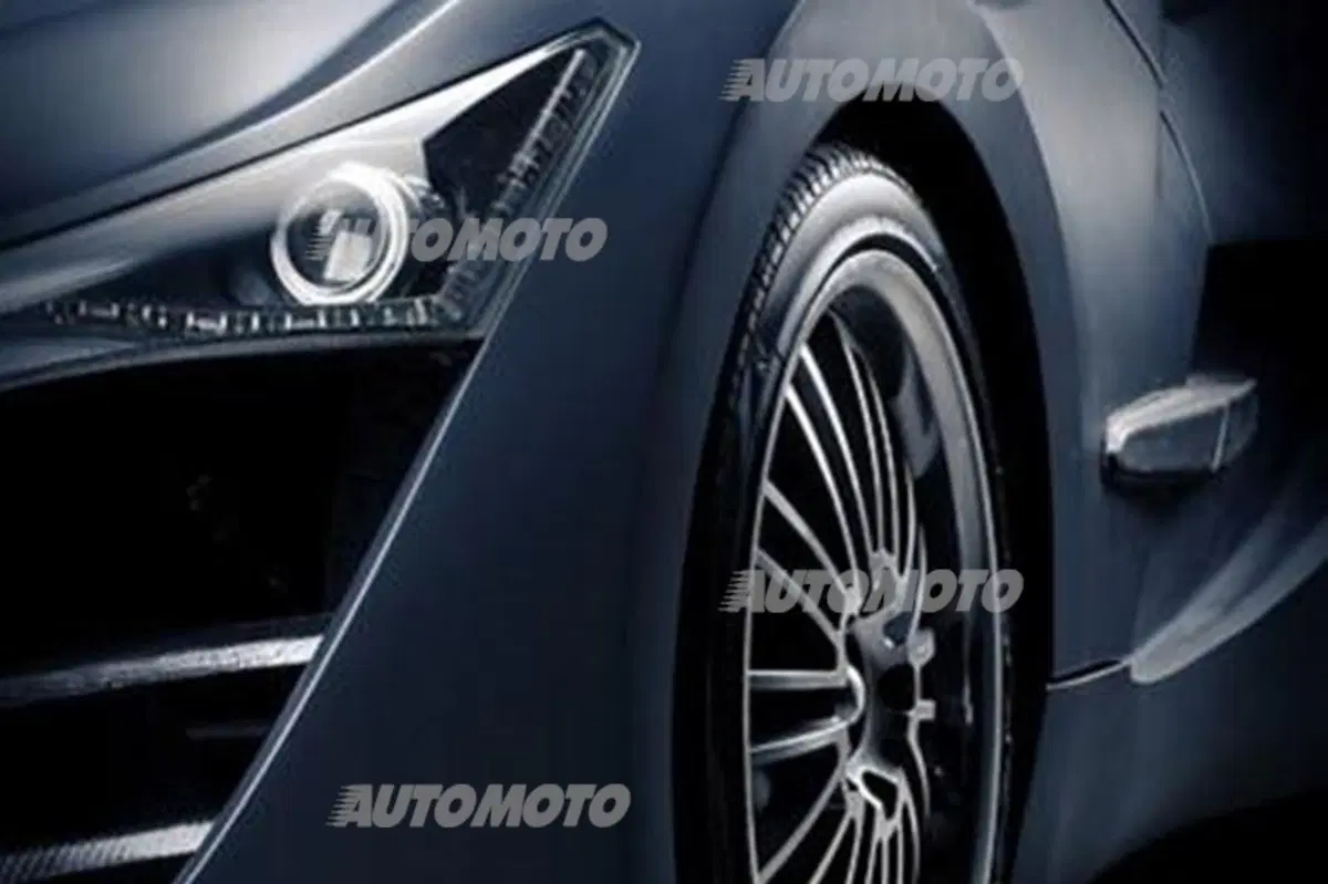 Felino CB7 (31)
