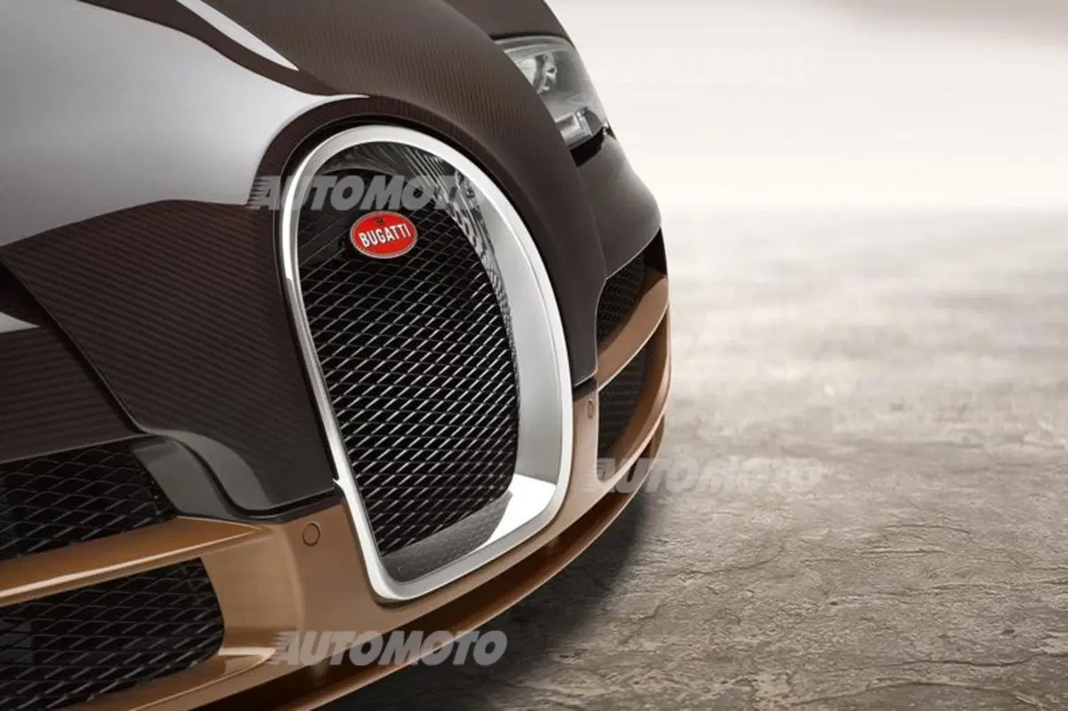 Rembrandt Bugatti Veyron Grand Sport Vitesse (5)