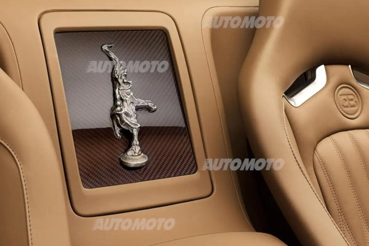Rembrandt Bugatti Veyron Grand Sport Vitesse (8)