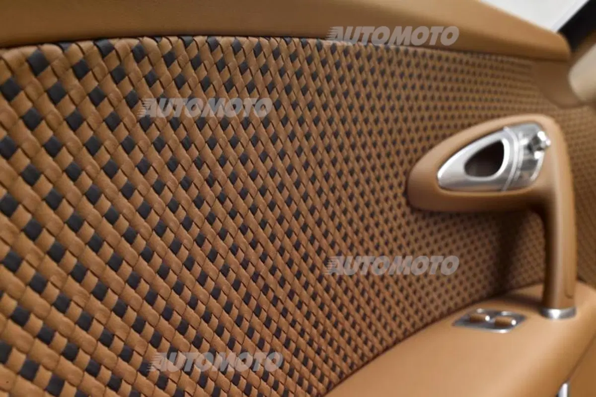Rembrandt Bugatti Veyron Grand Sport Vitesse (9)