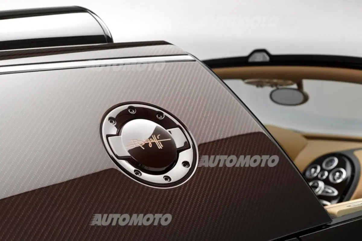 Rembrandt Bugatti Veyron Grand Sport Vitesse (12)