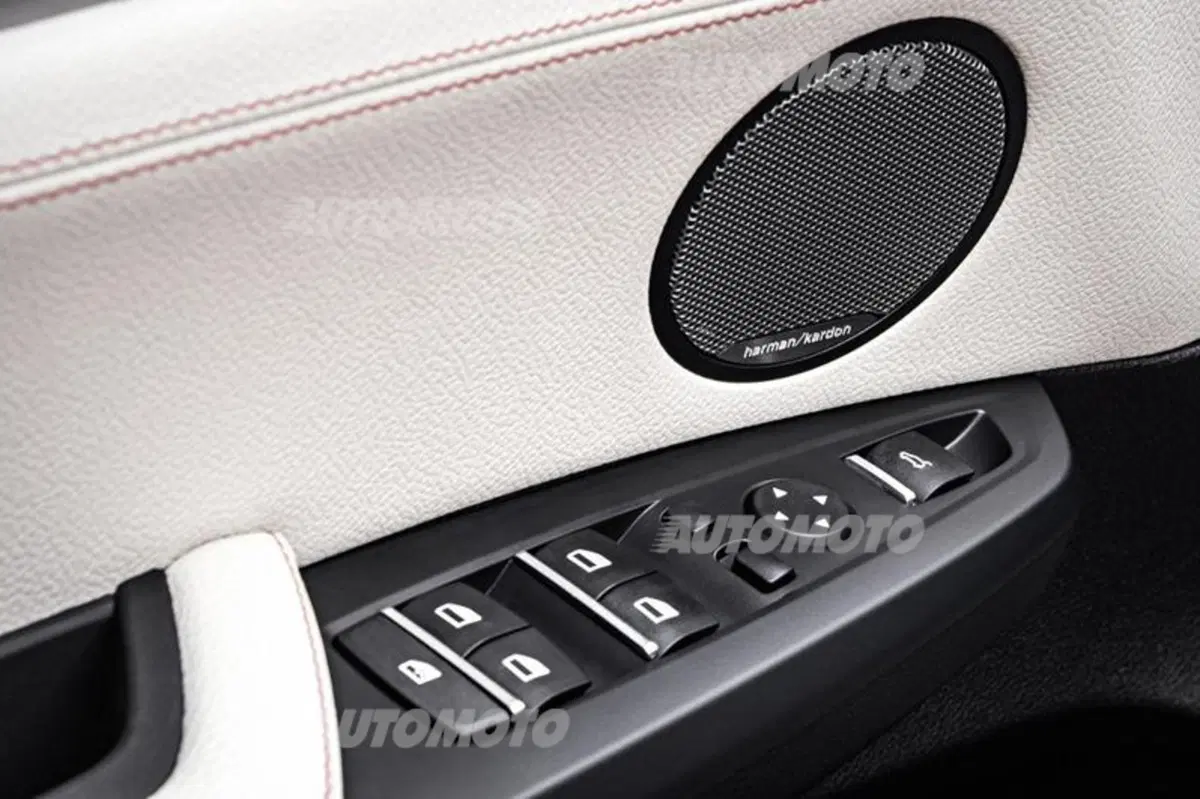 BMW X4 (21)