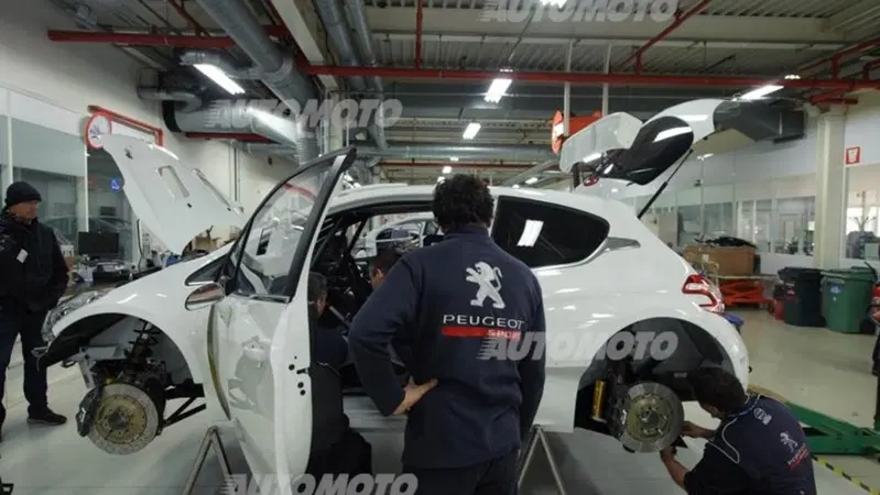 Rally, CIR 2014. Nella gabbia dei Leoni!