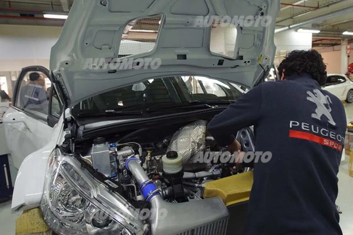 Rally, CIR 2014. Vita di P… 208T16 (8)