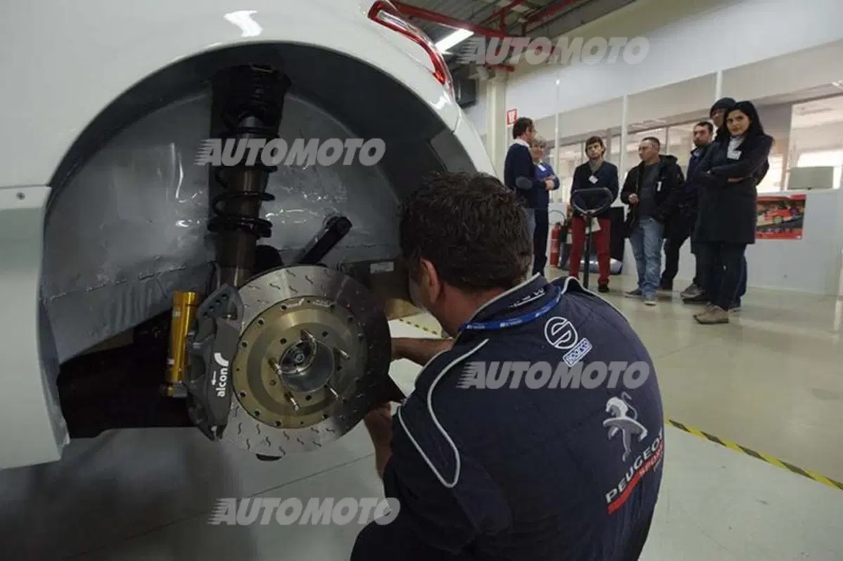 Rally, CIR 2014. Vita di P… 208T16 (9)