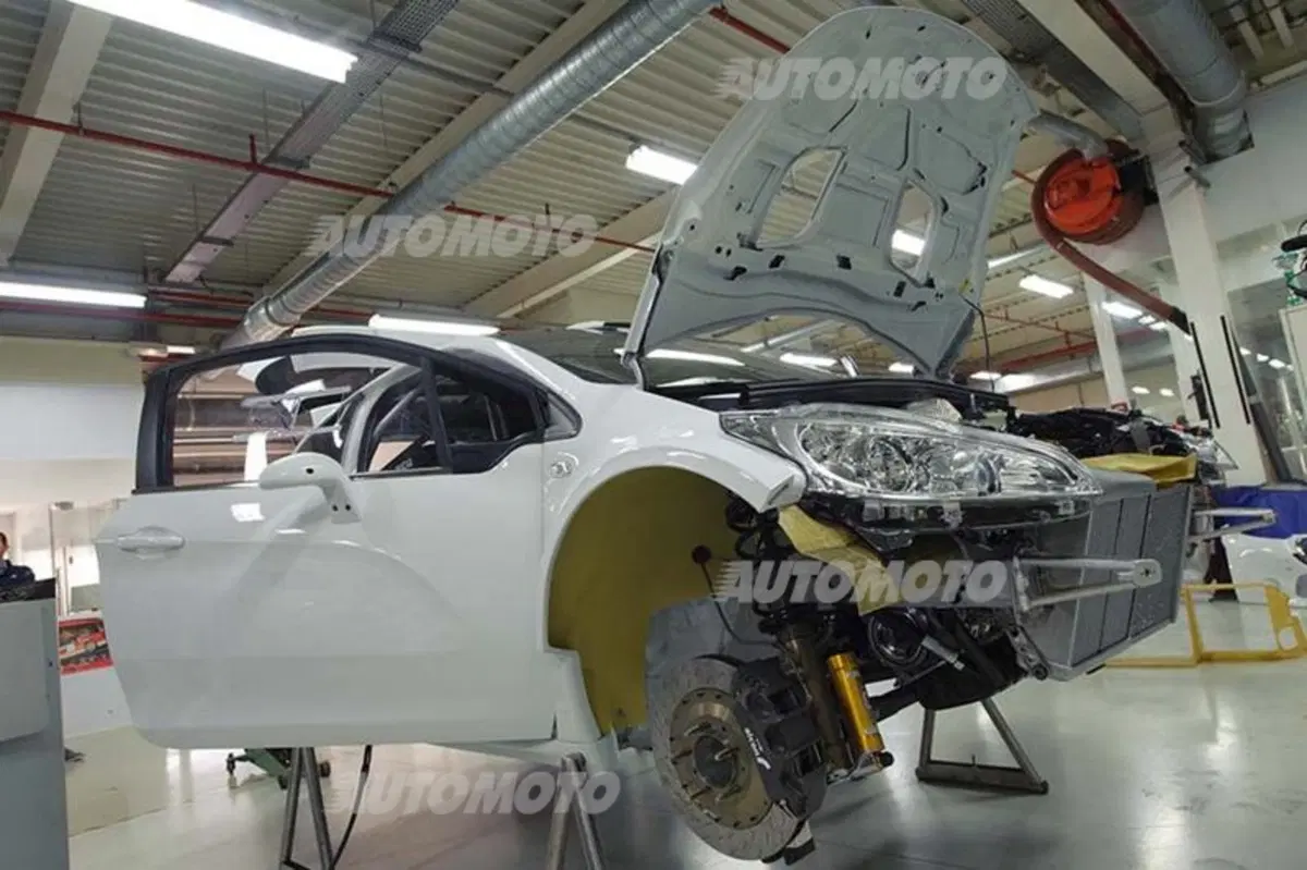 Rally, CIR 2014. Vita di P… 208T16 (10)
