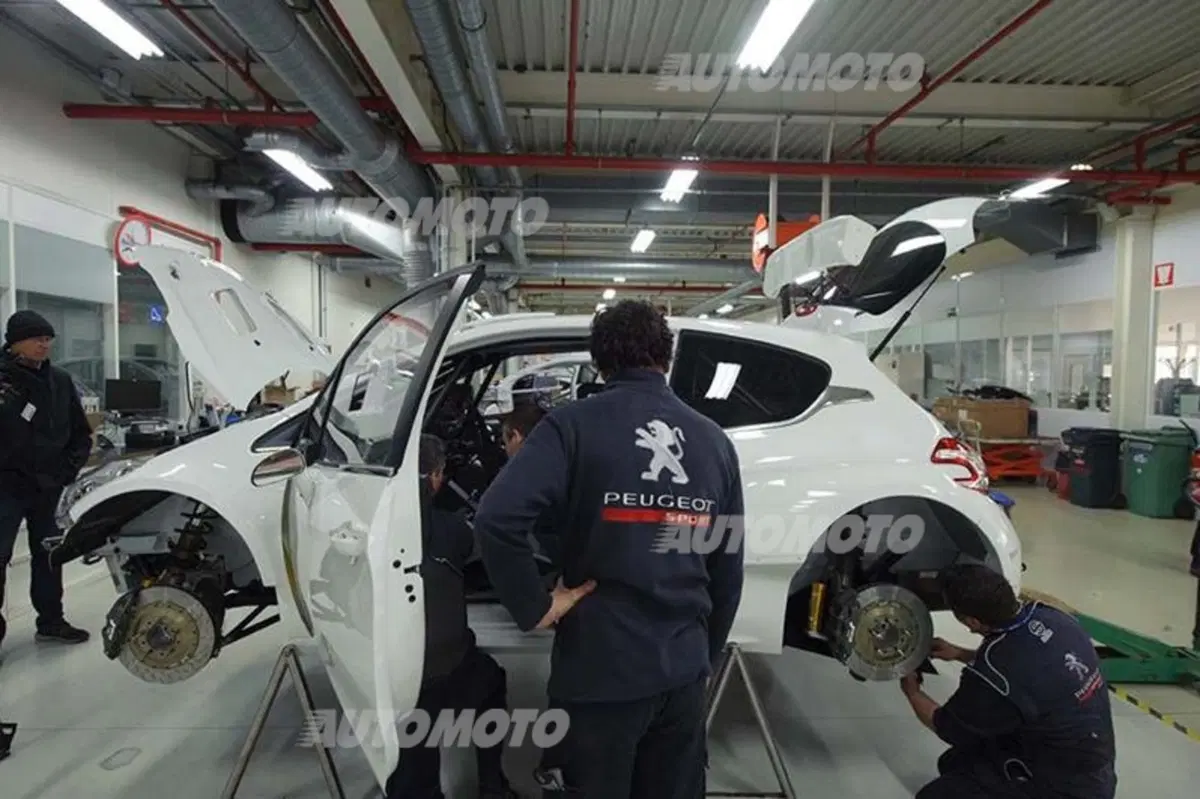 Rally, CIR 2014. Vita di P… 208T16 (11)