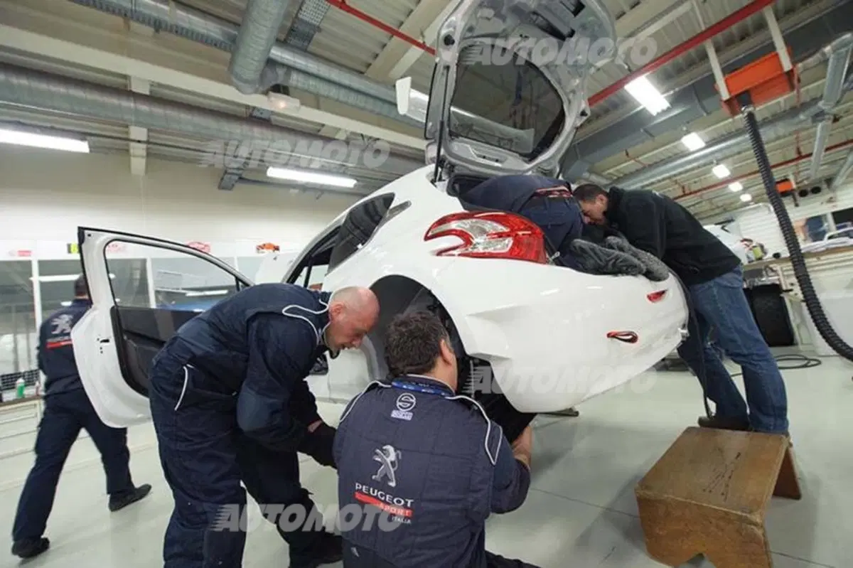 Rally, CIR 2014. Vita di P… 208T16 (13)
