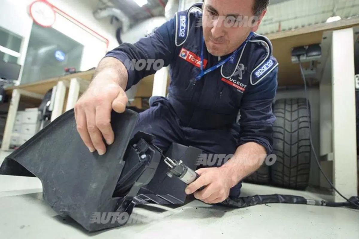 Rally, CIR 2014. Vita di P… 208T16 (25)