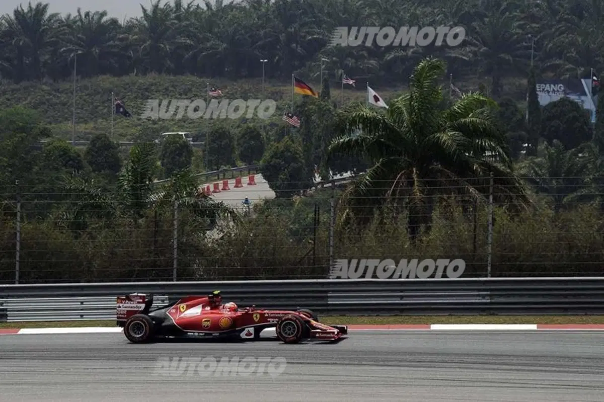 Formula 1 Malesia 2014: Rosberg domina le libere del venerdì (6)