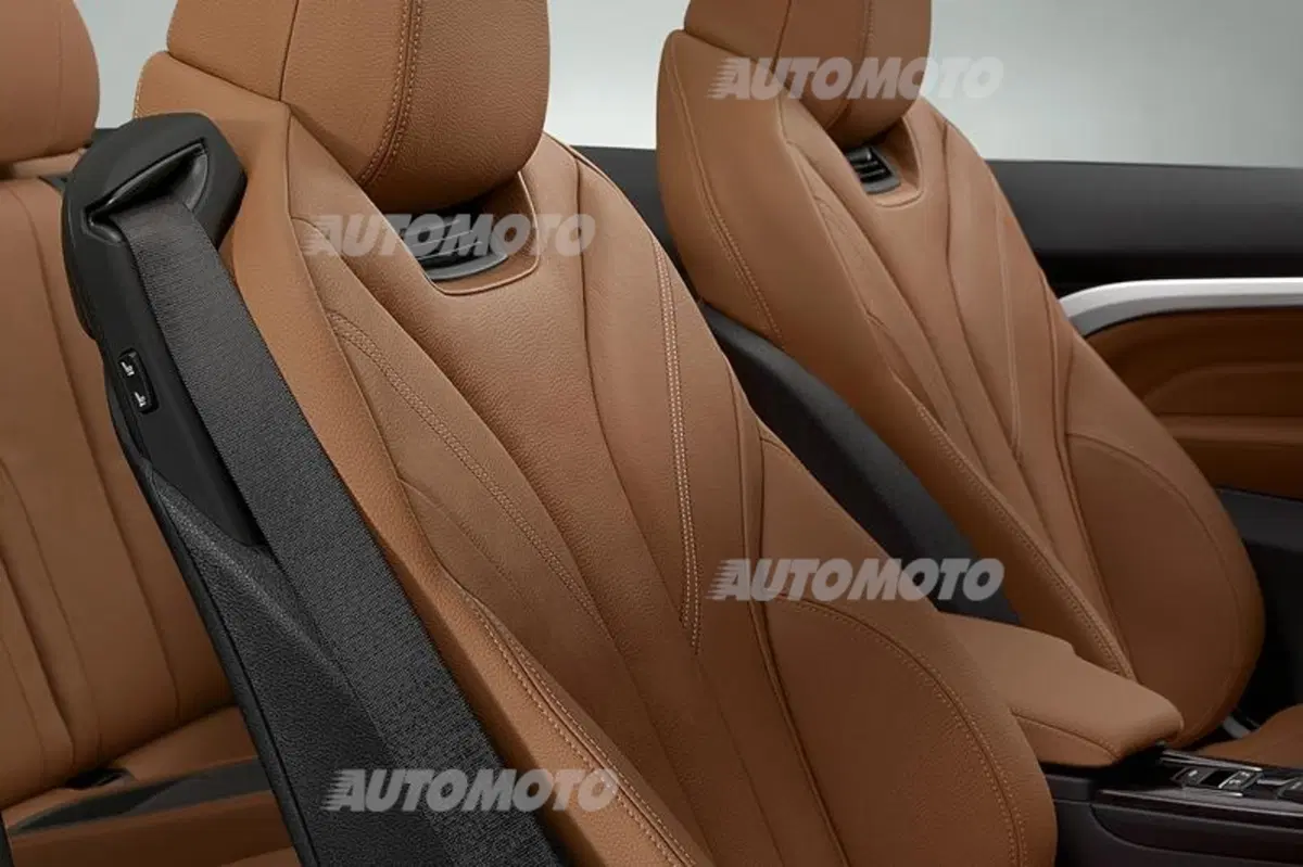 BMW Serie 4 Cabrio (50)