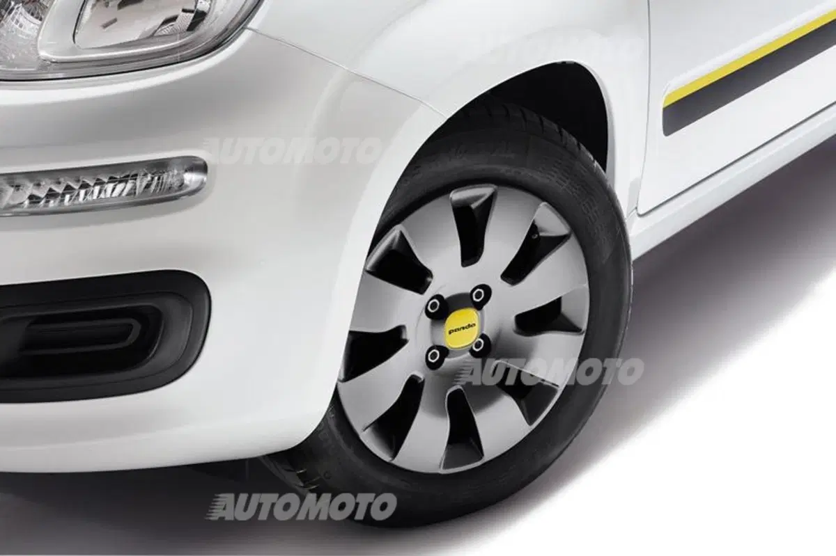 Fiat Panda e Punto Young (3)
